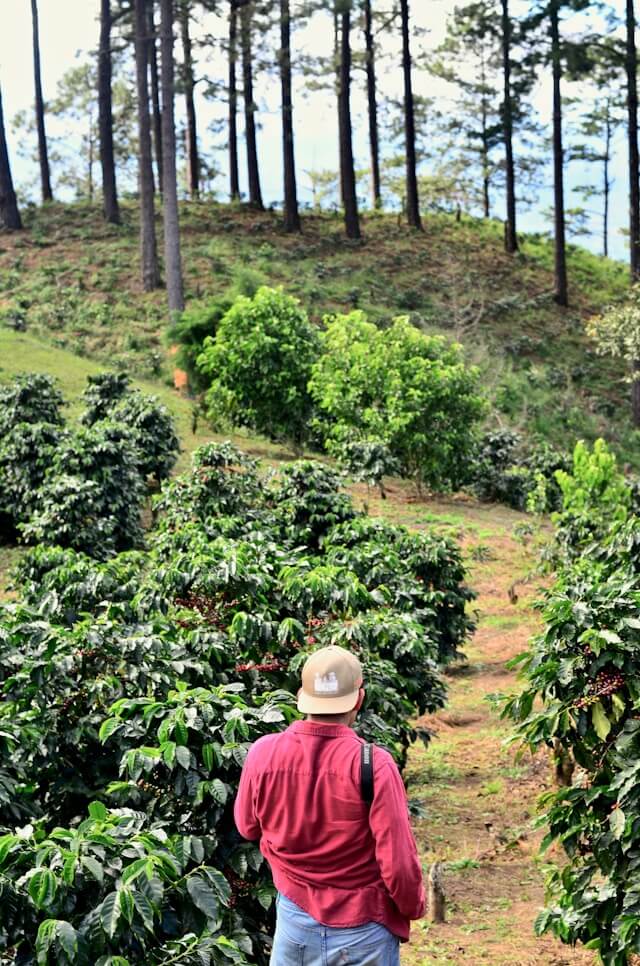 Coffee Tourism Experience in Ethiopia