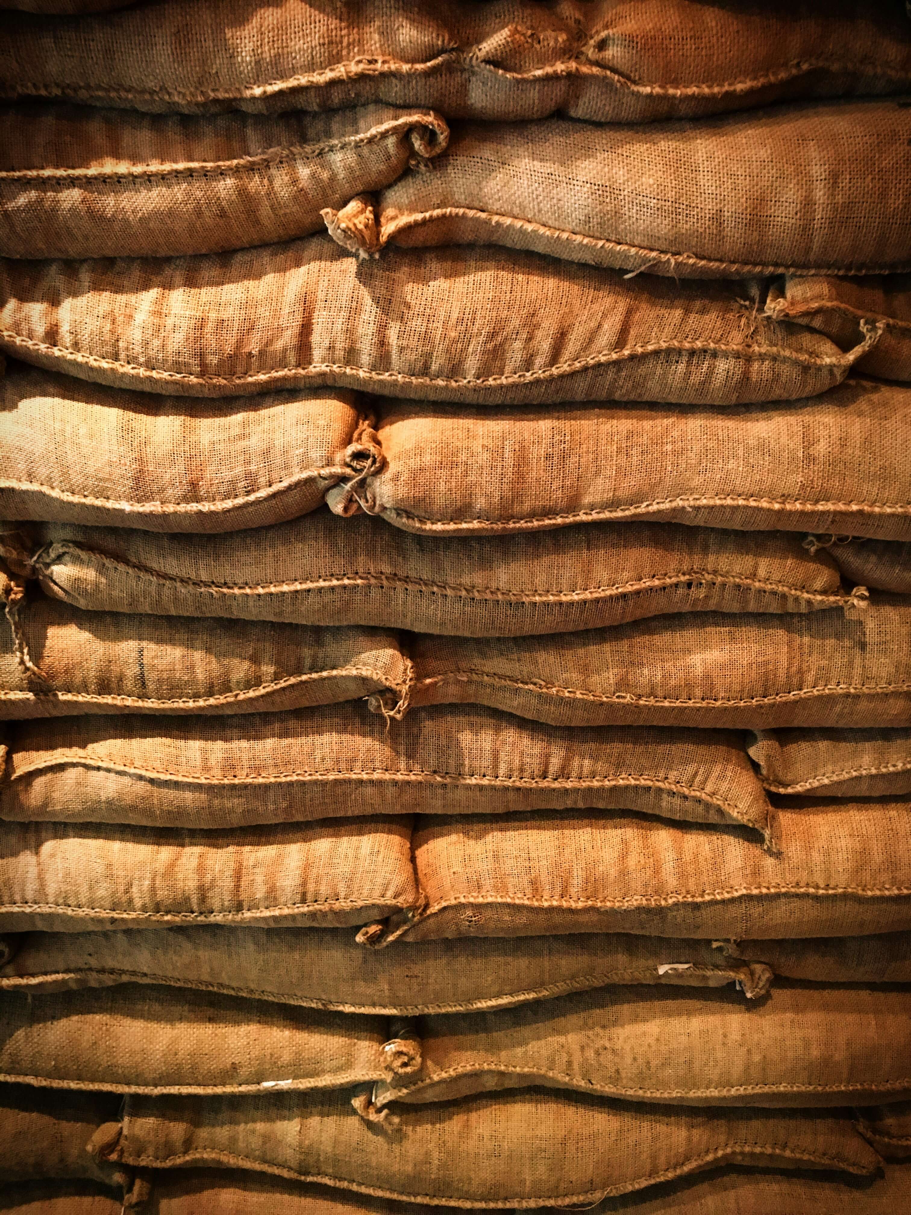 Premium Green Coffee Beans for Export